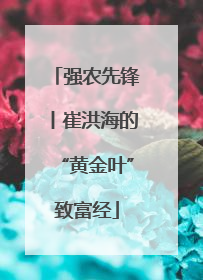 强农先锋丨崔洪海的“黄金叶”致富经