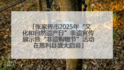 张家界市2025年“文化和自然遗产日”非遗宣传展示暨“非遗购物节”活动在慈利县盛大启幕