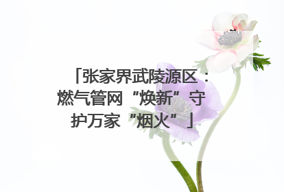 张家界武陵源区：燃气管网“焕新”守护万家“烟火”