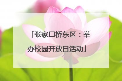 张家口桥东区：举办校园开放日活动