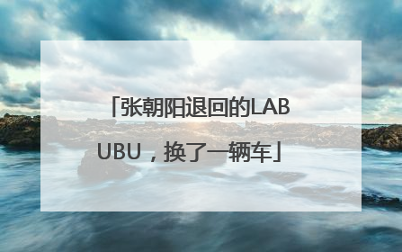 张朝阳退回的LABUBU，换了一辆车