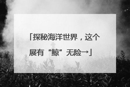 探秘海洋世界，这个展有“鲸”无险→