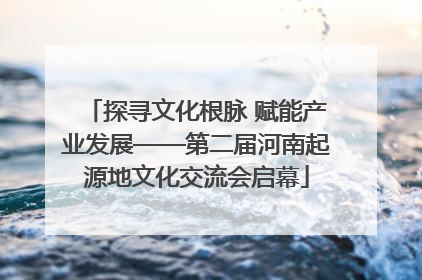 探寻文化根脉 赋能产业发展——第二届河南起源地文化交流会启幕