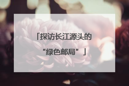 探访长江源头的“绿色邮局”