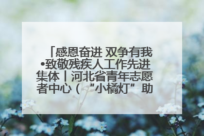 感恩奋进 双争有我•致敬残疾人工作先进集体丨河北省青年志愿者中心（“小橘灯”助残接力计划实施团队）：用温暖陪伴，守护特殊孩子成长