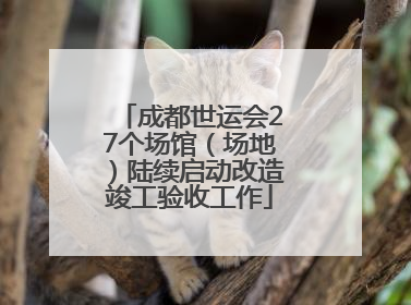成都世运会27个场馆（场地）陆续启动改造竣工验收工作