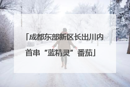 成都东部新区长出川内首串“蓝精灵”番茄