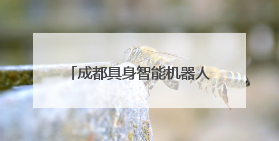 成都具身智能机器人走进“交通劝导”真实场景，不仅能科普交通法规还会讲冷笑话