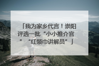 我为家乡代言！崇阳评选一批“小小推介官”“红领巾讲解员”
