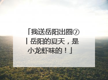 我送岳阳出圈⑦丨岳阳的夏天，是小龙虾味的！