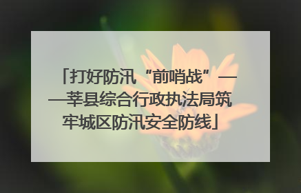 打好防汛“前哨战”——莘县综合行政执法局筑牢城区防汛安全防线