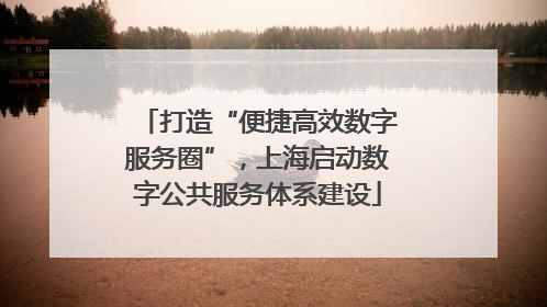 打造“便捷高效数字服务圈”，上海启动数字公共服务体系建设
