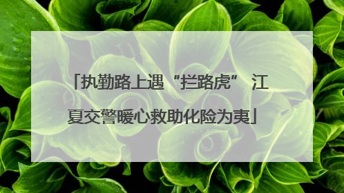 执勤路上遇“拦路虎” 江夏交警暖心救助化险为夷