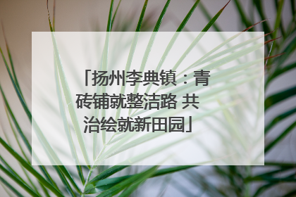 扬州李典镇：青砖铺就整洁路 共治绘就新田园