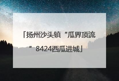 扬州沙头镇“瓜界顶流”8424西瓜进城