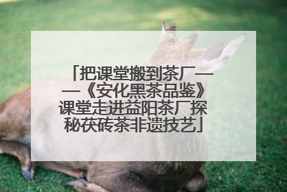 把课堂搬到茶厂——《安化黑茶品鉴》课堂走进益阳茶厂探秘茯砖茶非遗技艺
