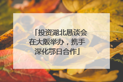 投资湖北恳谈会在大阪举办，携手深化鄂日合作