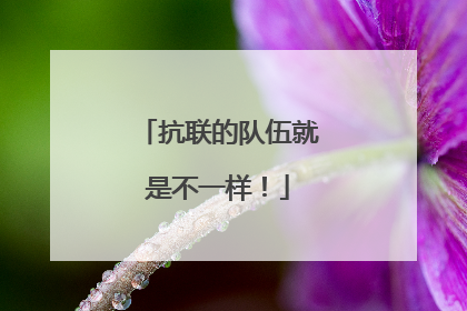 抗联的队伍就是不一样！