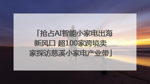 抢占AI智能小家电出海新风口 超100家跨境卖家探访慈溪小家电产业带