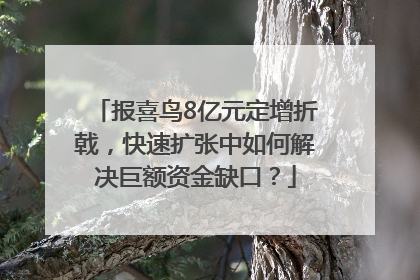 报喜鸟8亿元定增折戟，快速扩张中如何解决巨额资金缺口？