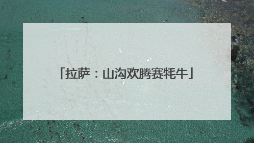 拉萨：山沟欢腾赛牦牛