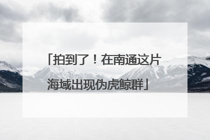 拍到了！在南通这片海域出现伪虎鲸群