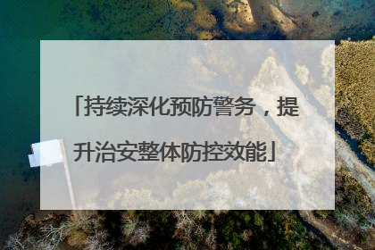 持续深化预防警务，提升治安整体防控效能
