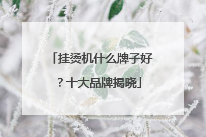 挂烫机什么牌子好？十大品牌揭晓