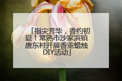 指尖芳华，香约初夏！常熟市沙家浜镇唐东村开展香薰蜡烛DIY活动