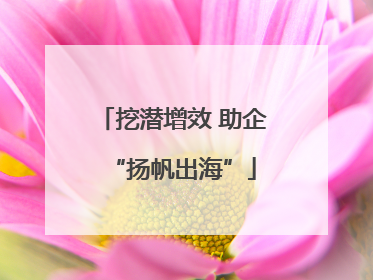 挖潜增效 助企“扬帆出海”