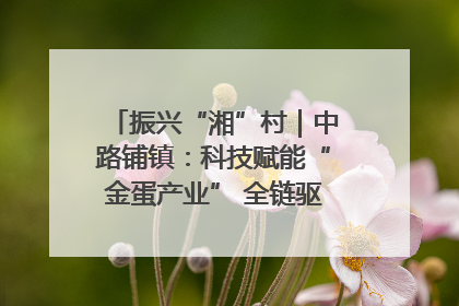 振兴“湘”村｜中路铺镇：科技赋能“金蛋产业” 全链驱动乡村振兴