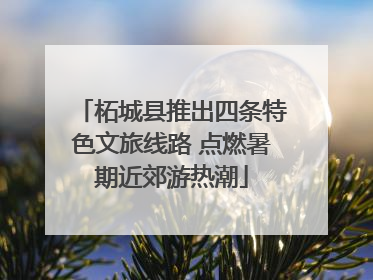 柘城县推出四条特色文旅线路 点燃暑期近郊游热潮