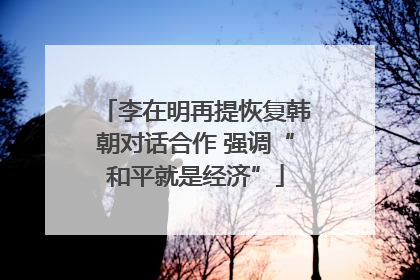 李在明再提恢复韩朝对话合作 强调“和平就是经济”