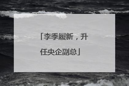 李季履新，升任央企副总