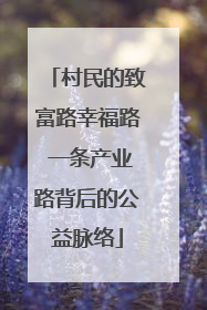 村民的致富路幸福路 一条产业路背后的公益脉络