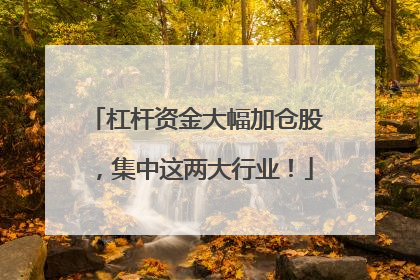 杠杆资金大幅加仓股，集中这两大行业！