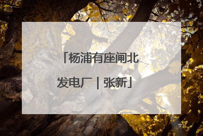 杨浦有座闸北发电厂｜张新