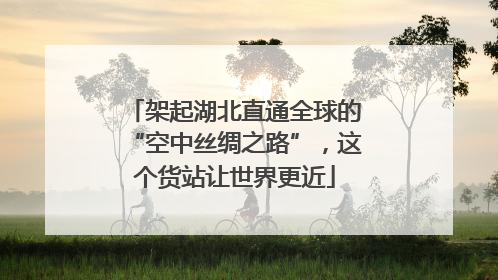 架起湖北直通全球的“空中丝绸之路”，这个货站让世界更近