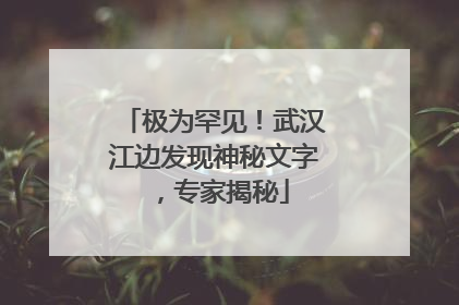 极为罕见！武汉江边发现神秘文字，专家揭秘