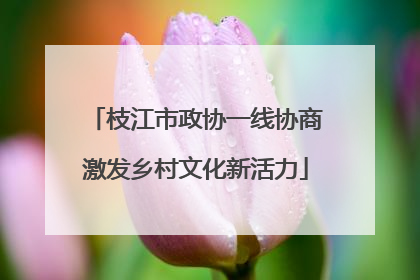 枝江市政协一线协商激发乡村文化新活力