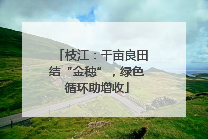 枝江：千亩良田结“金穗”，绿色循环助增收