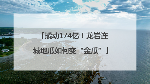 撬动174亿！龙岩连城地瓜如何变“金瓜”