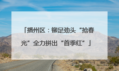播州区：铆足劲头“抢春光”全力拼出“首季红”