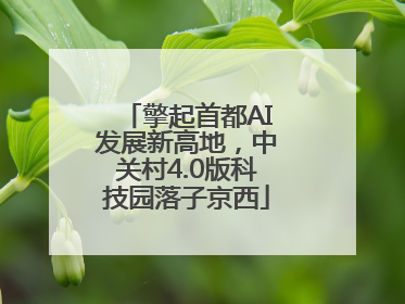 擎起首都AI发展新高地，中关村4.0版科技园落子京西