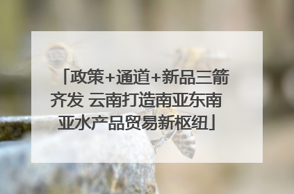 政策+通道+新品三箭齐发 云南打造南亚东南亚水产品贸易新枢纽