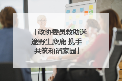 政协委员救助迷途野生麋鹿 携手共筑和谐家园