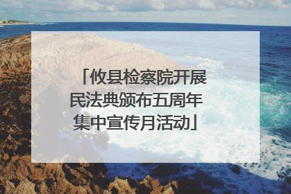 攸县检察院开展民法典颁布五周年集中宣传月活动