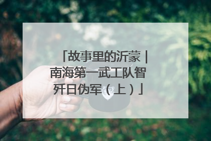 故事里的沂蒙｜南海第一武工队智歼日伪军（上）
