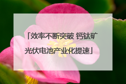 效率不断突破 钙钛矿光伏电池产业化提速