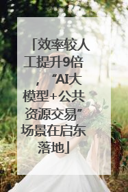 效率较人工提升9倍，“AI大模型+公共资源交易”场景在启东落地